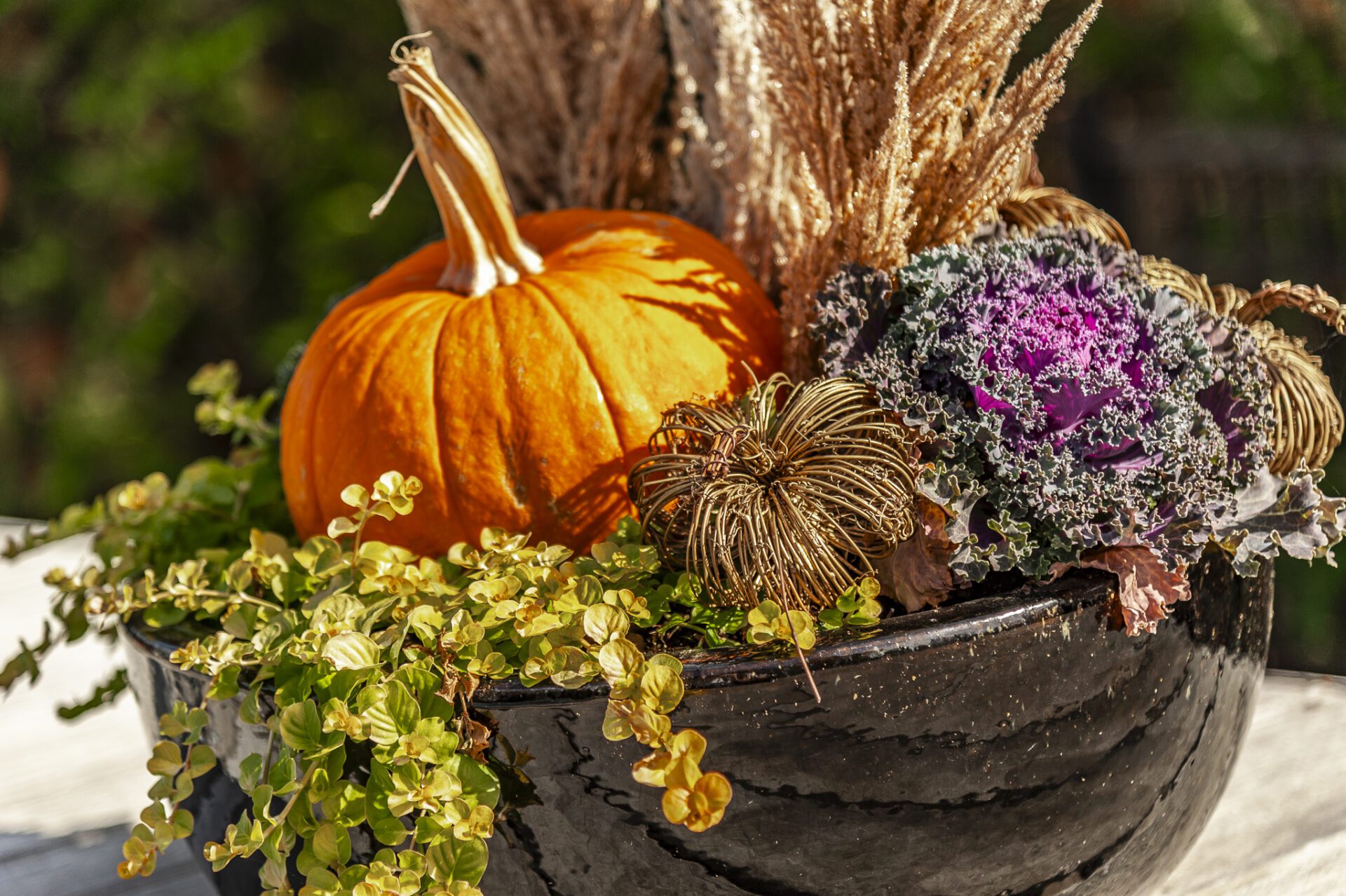 It’s Fall Annual Planting Time!