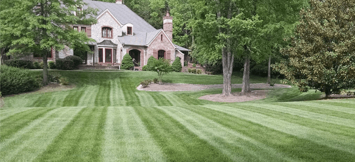 Lawn Care - Nashville landscape maintenance